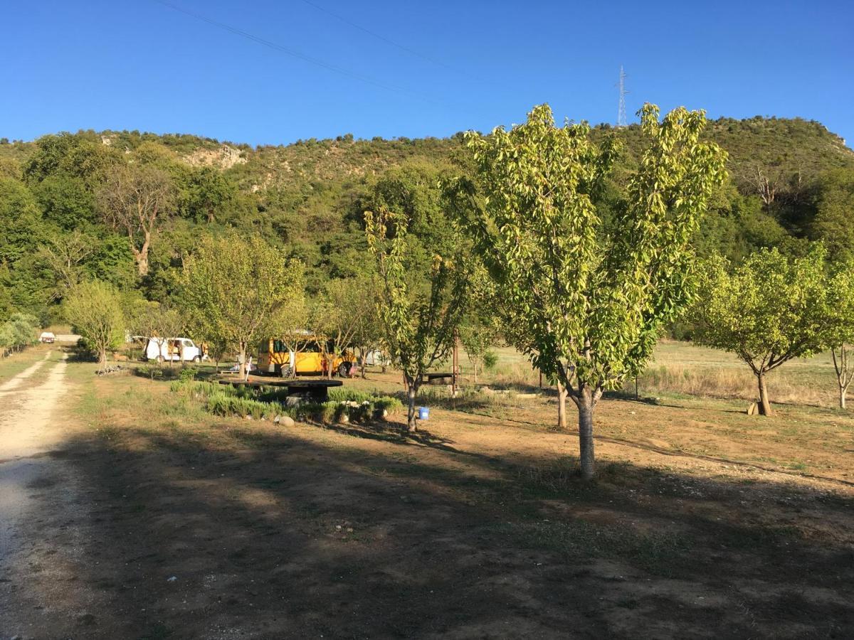 Albturist Ecocamping & Outdoor Sports Center Campeggio