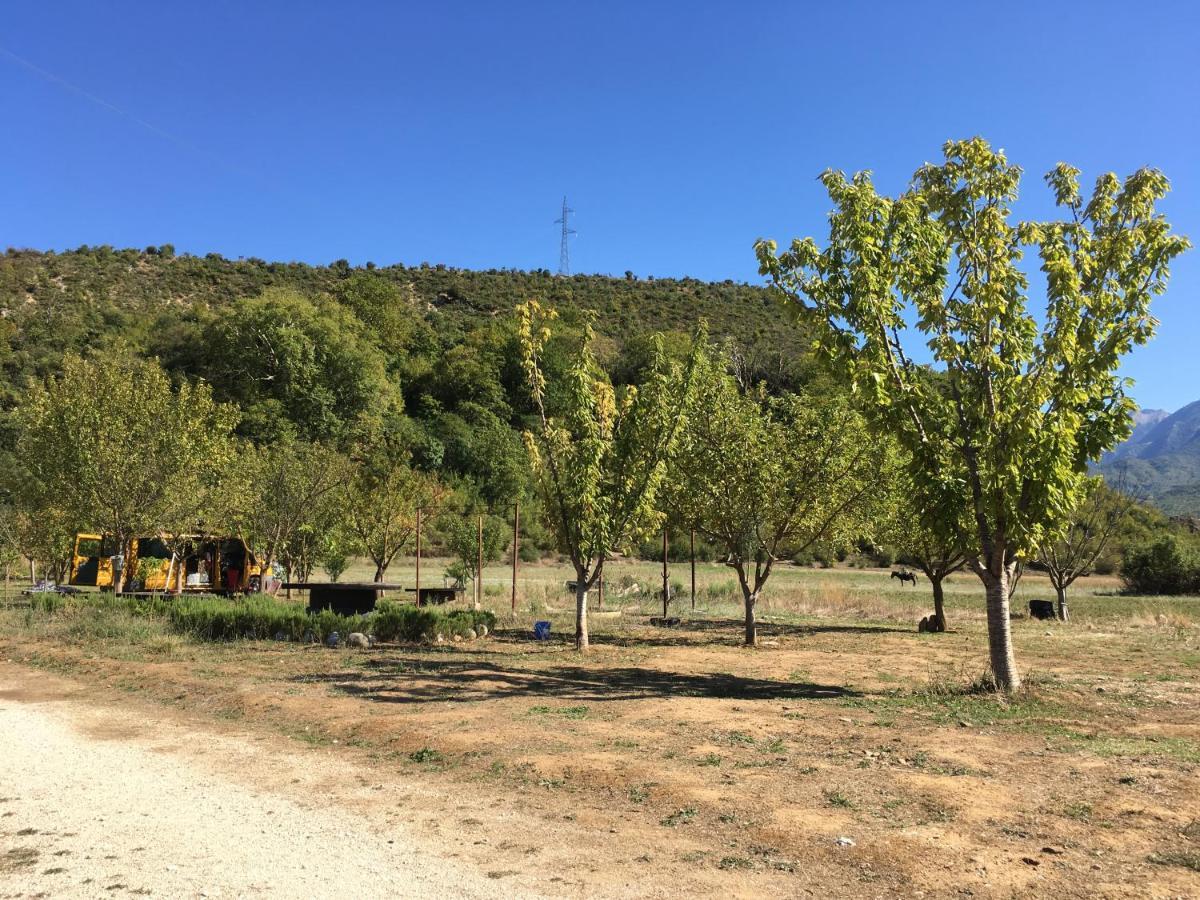 Albturist Ecocamping & Outdoor Sports Center Campeggio